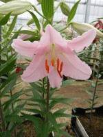 [5571 VH01 No02.JPG]